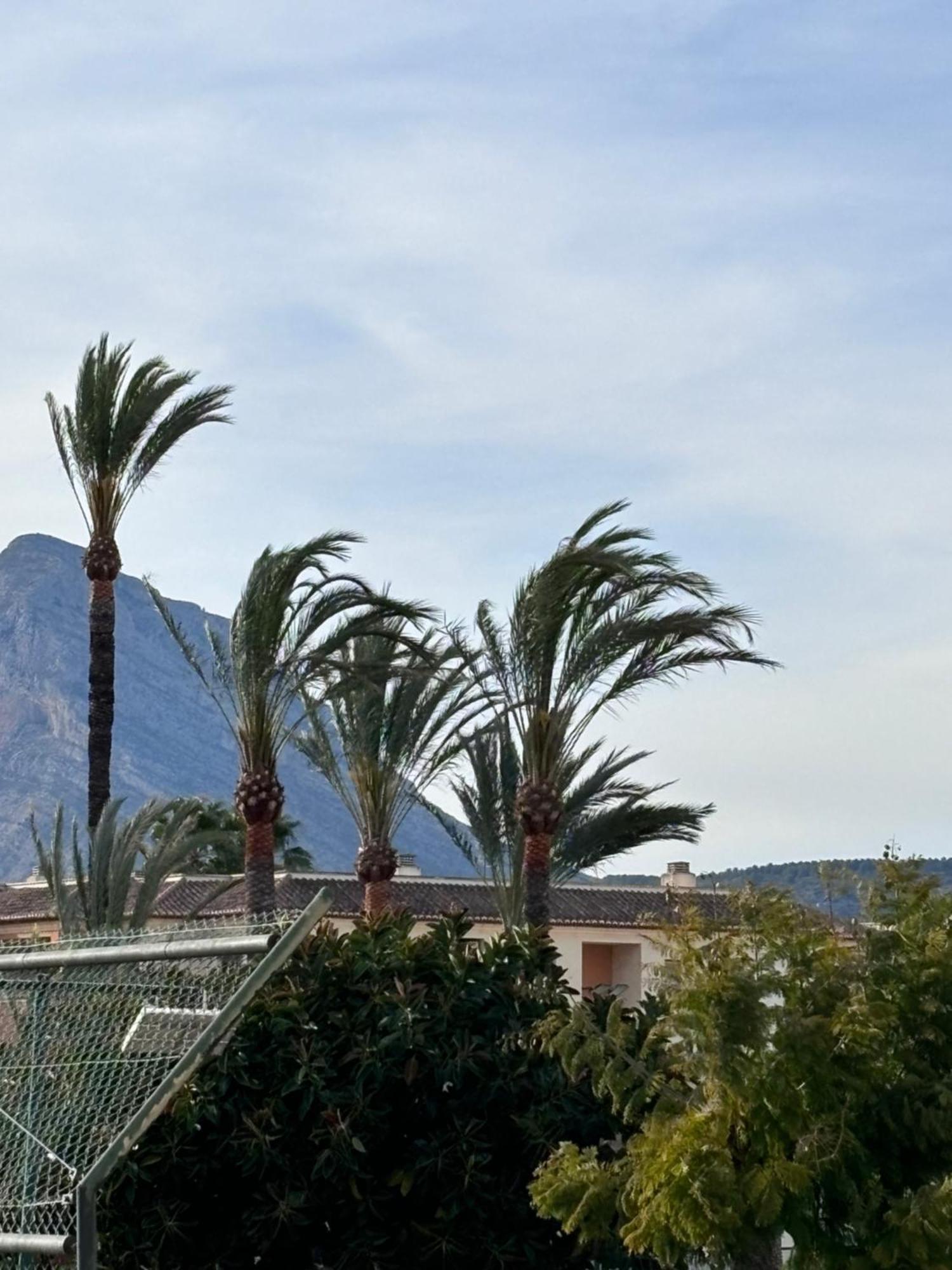 Apartamento Tenis Club En Javea Platja de Larenal Εξωτερικό φωτογραφία